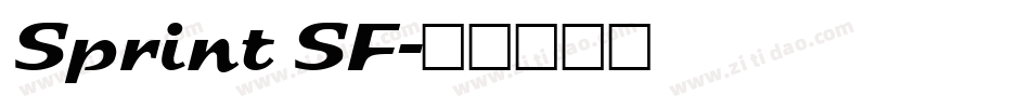 Sprint SF字体转换